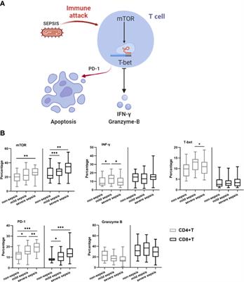 Early Expression of Functional Markers on CD4+ T Cells Predicts Outcomes in ICU Patients With Sepsis